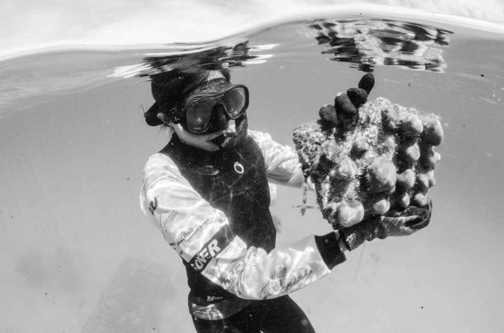 Reef Revival, galapagos, Karem Arreaga